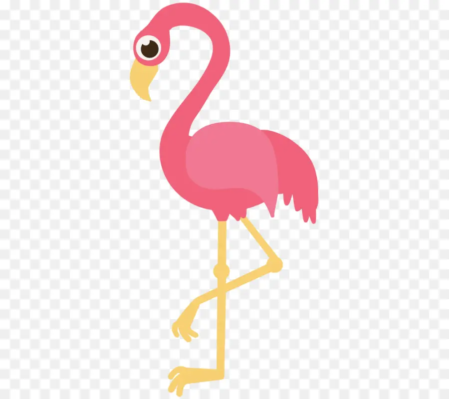 Flamingo Merah Muda，Kaki PNG