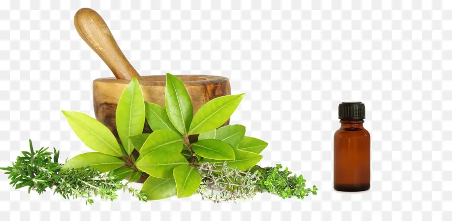 Ayurveda，Ramuan PNG