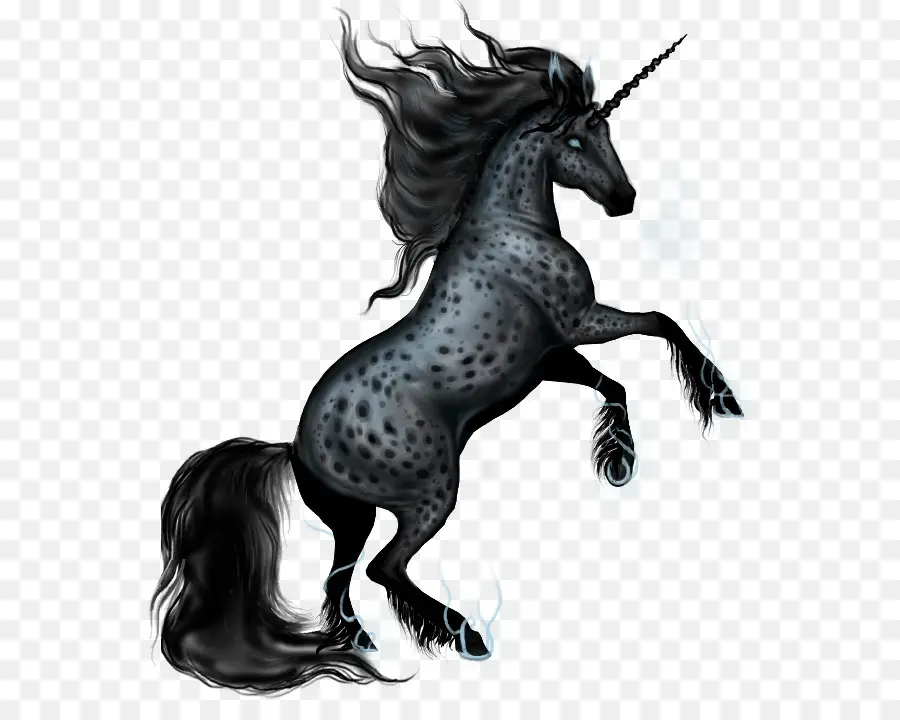 Unicorn，Kuda PNG