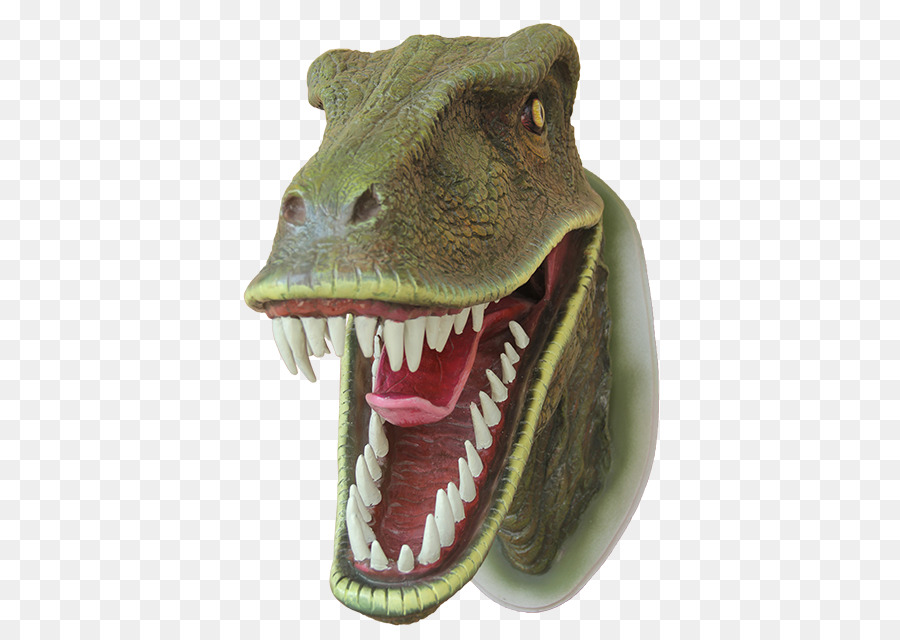 Tyrannosaurus，Velociraptor PNG