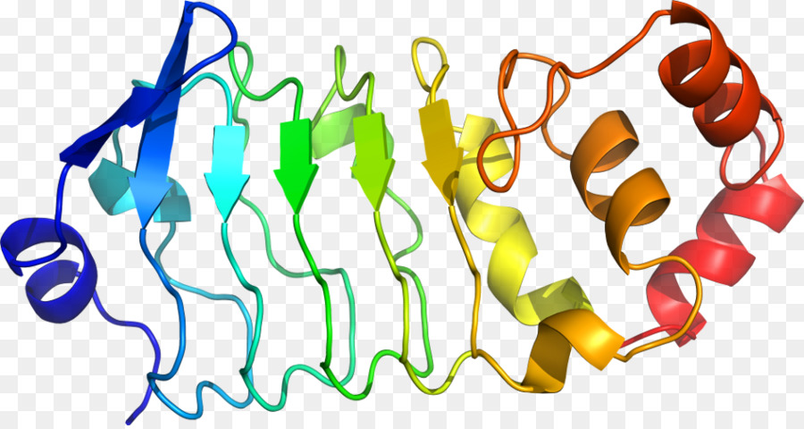 Heliks Protein，Molekul PNG