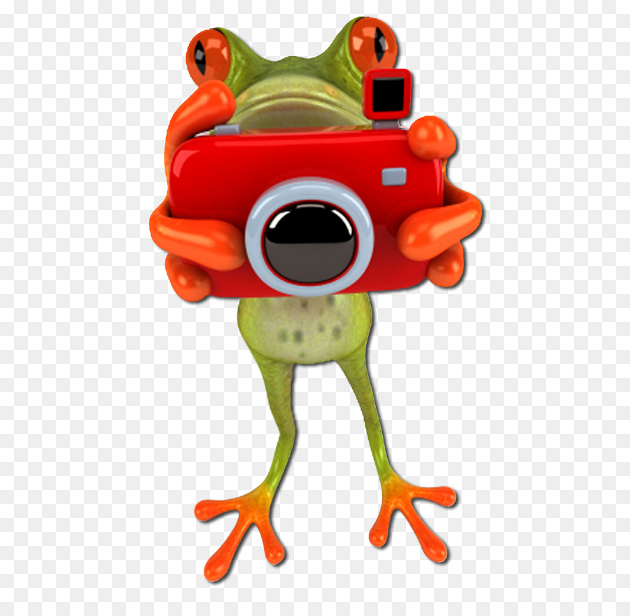 Fotografi，Katak PNG