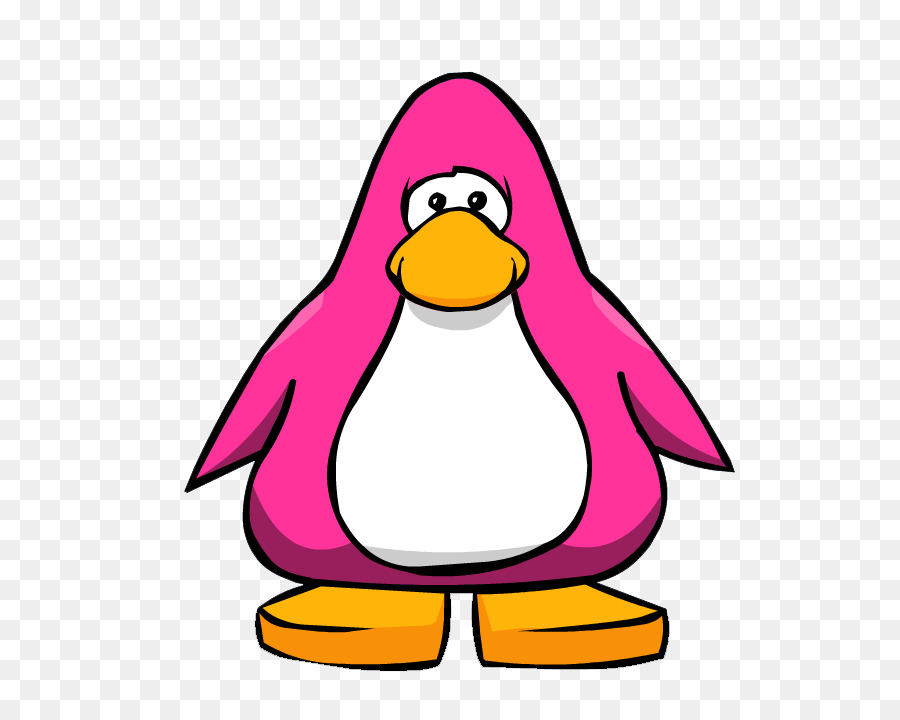 Penguin，Berwarna Warni PNG