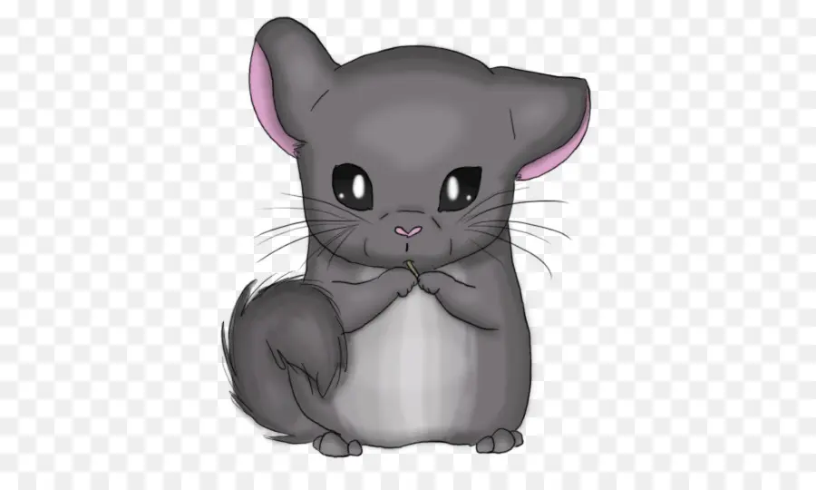 Chinchilla，Imut Imut PNG