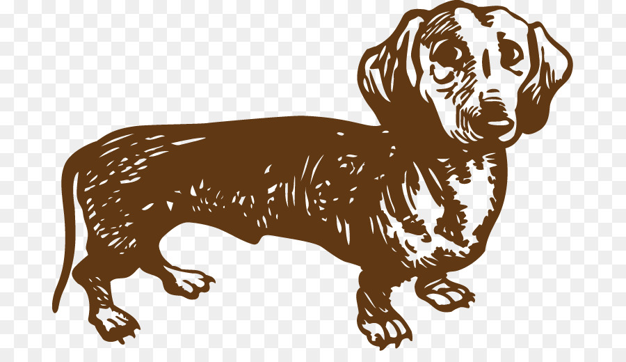 Dachshund，Westphalia Dachsbracke PNG