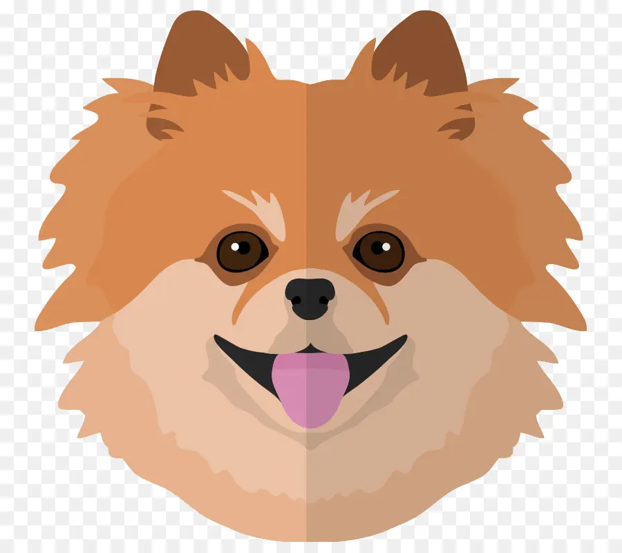 Wajah Anjing Lucu，Anjing Pomeranian PNG