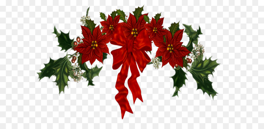 Holly，Daun Daun PNG