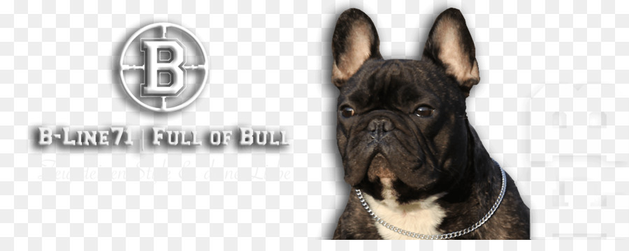 Anjing Berkembang Biak，Bulldog PNG