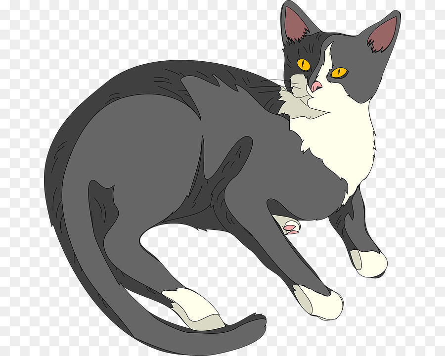 Kucing，Men Download PNG