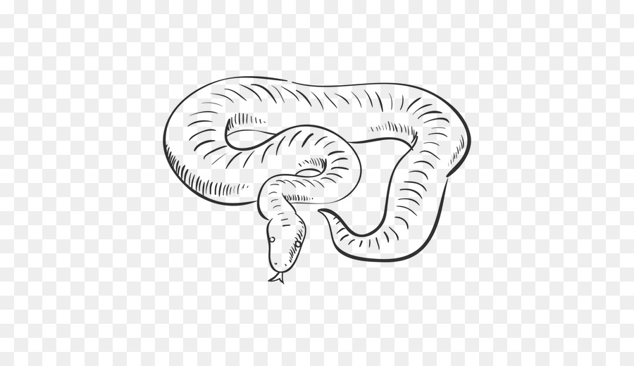 Ular, Gambar, Reptil gambar png