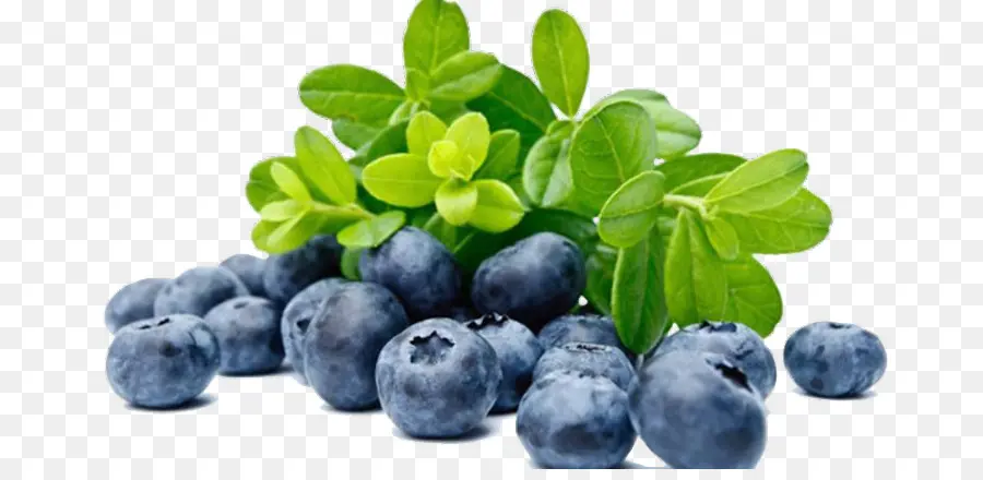 Blueberry，Buah Beri PNG