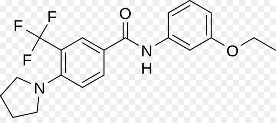 Gamma Secretase，Inhibitor Enzim PNG