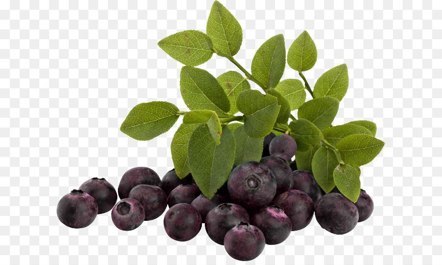 Blueberry，Bilberry PNG