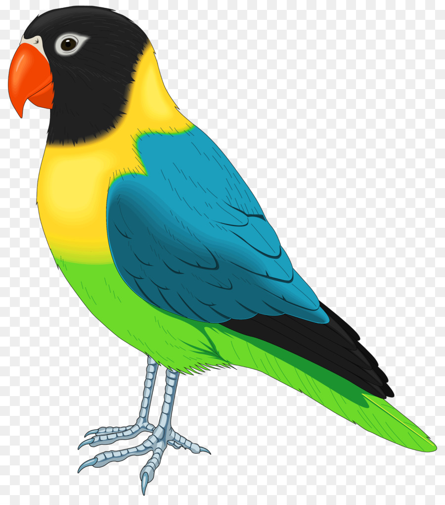 Burung，Burung Kesturi PNG