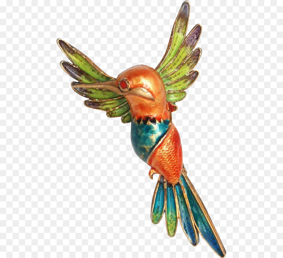 Macaw，Paruh PNG