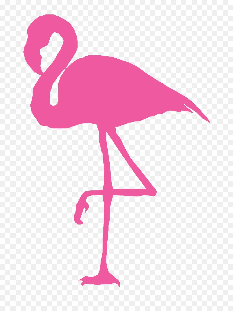 Flamingo Merah Muda，Kaki PNG