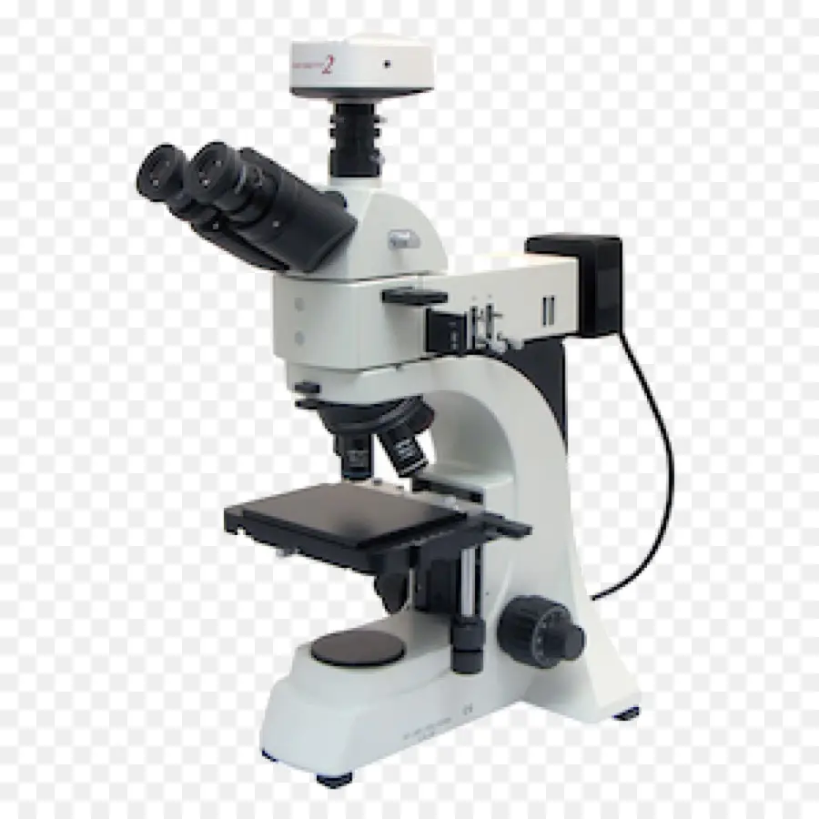 Mikroskop，Metalurgi PNG