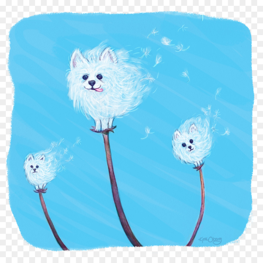 Pomeranian，Spitz Jerman PNG