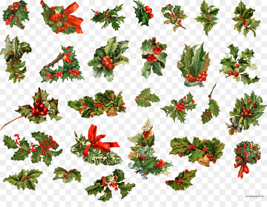 Ornamen Natal，Berry PNG