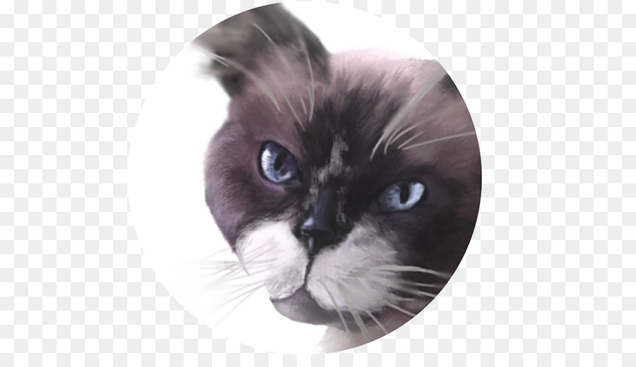 Kumis，Ragdoll PNG