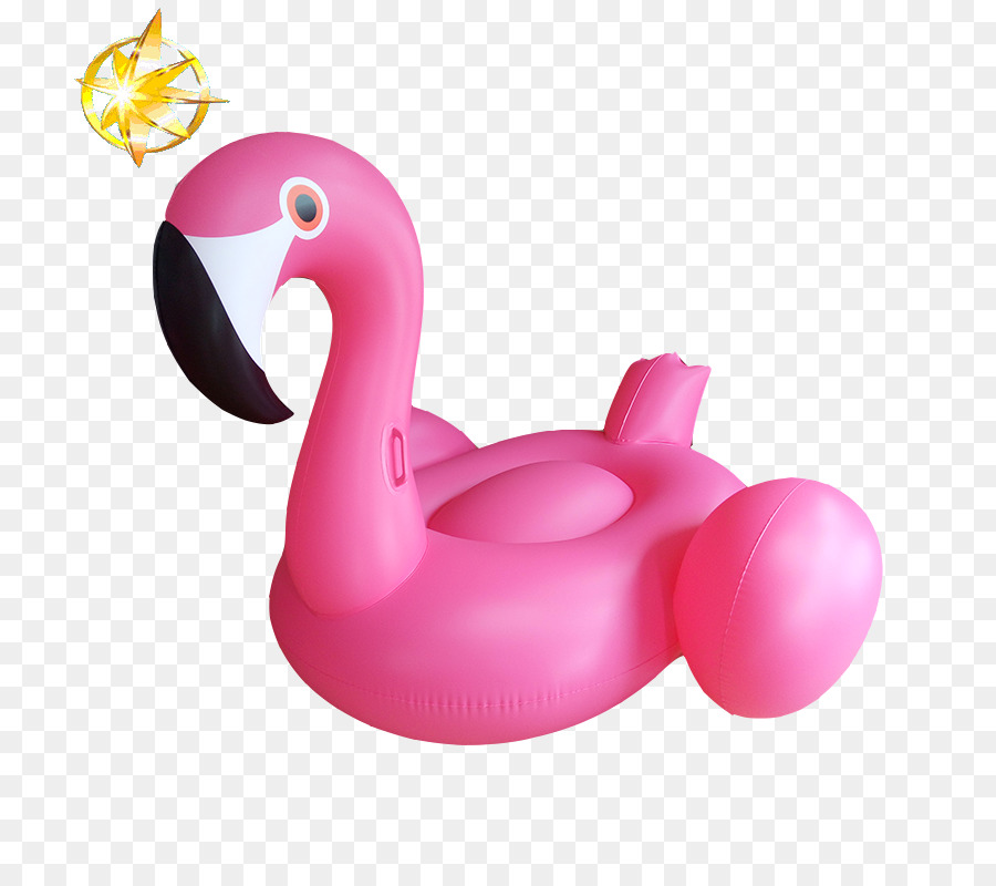 Flamingo Merah Muda，Kolam PNG