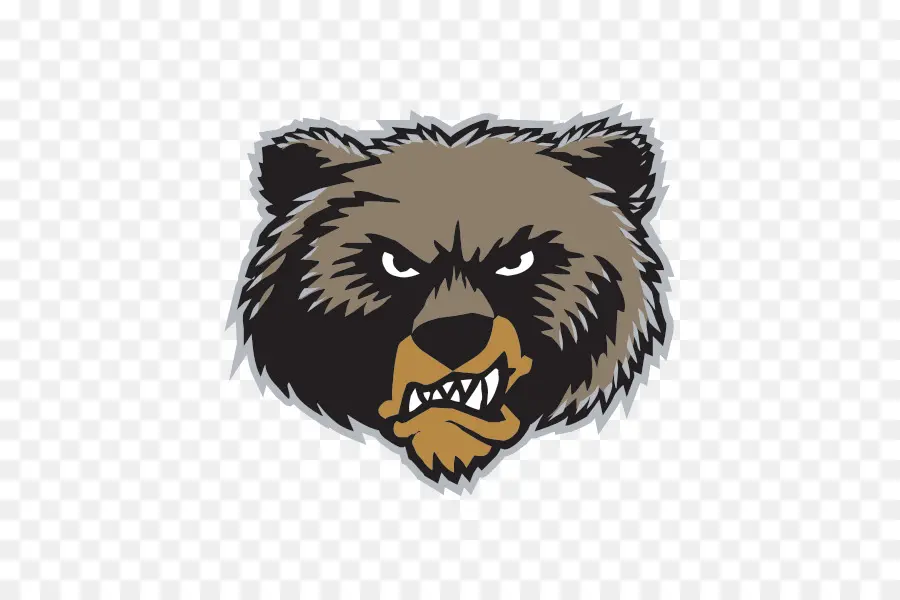 Memphis Grizzlies，Vancouver Grizzlies PNG