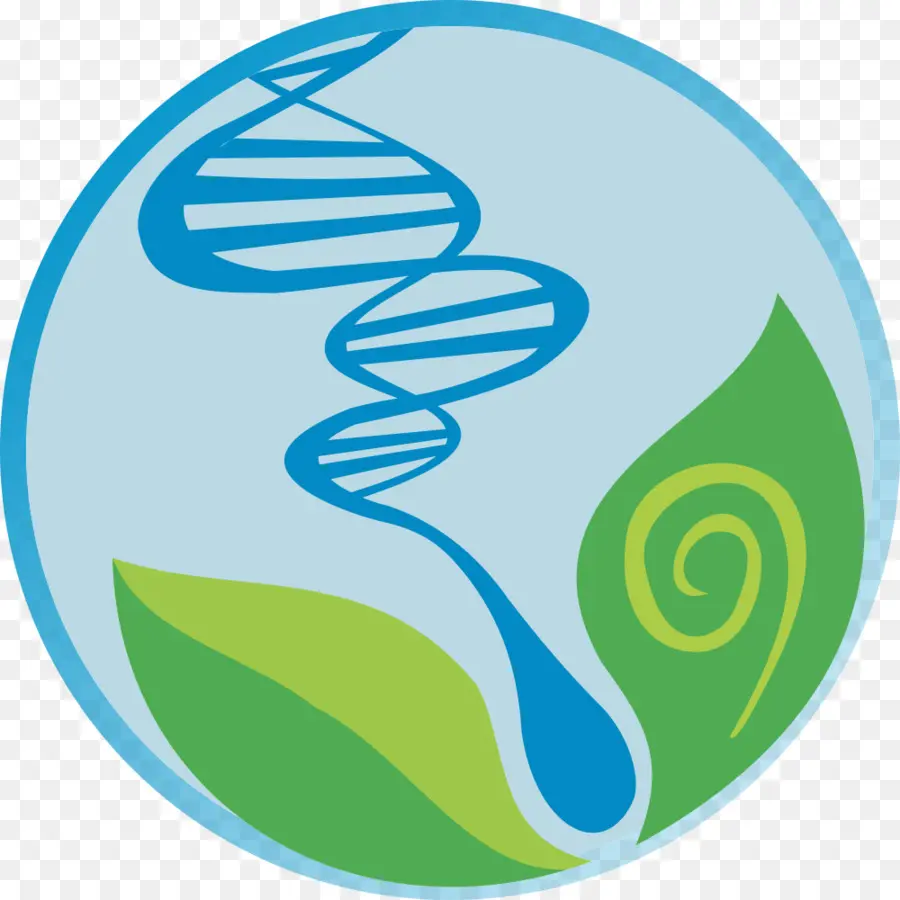 Dna，Spiral PNG