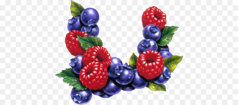 Buah Beri，Blueberry PNG