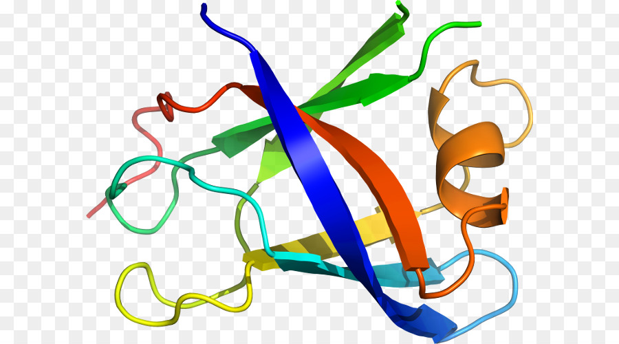 Heliks Protein，Molekul PNG