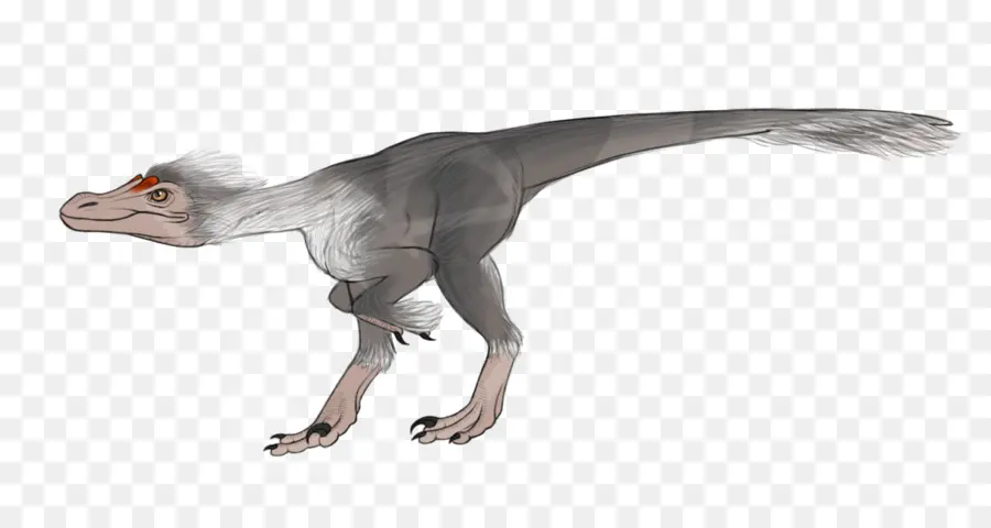 Velociraptor，Pyroraptor PNG