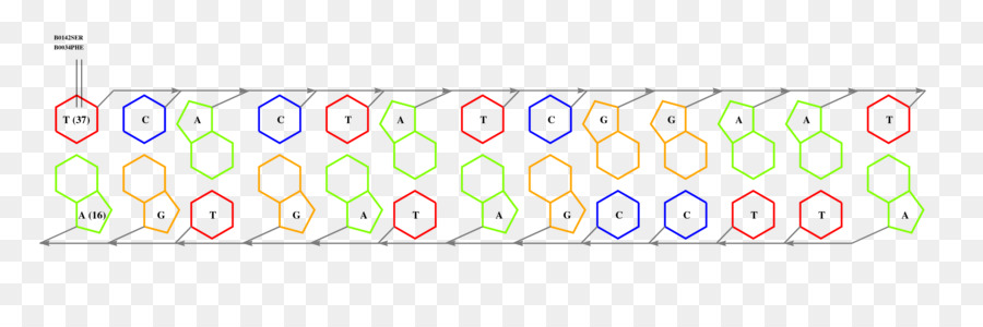 Desain Grafis，Fullspectrum Cahaya PNG