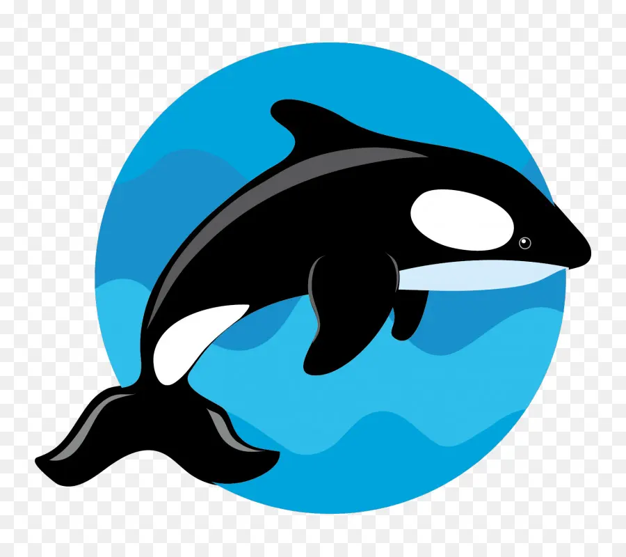 Orca，Paus PNG