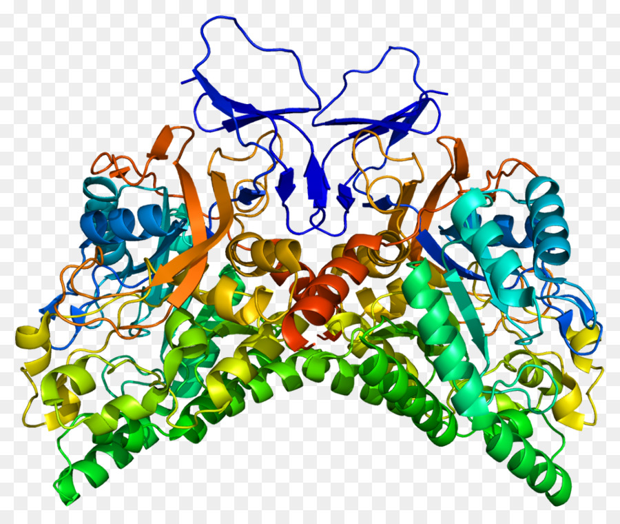 Lacosamide，Protein PNG
