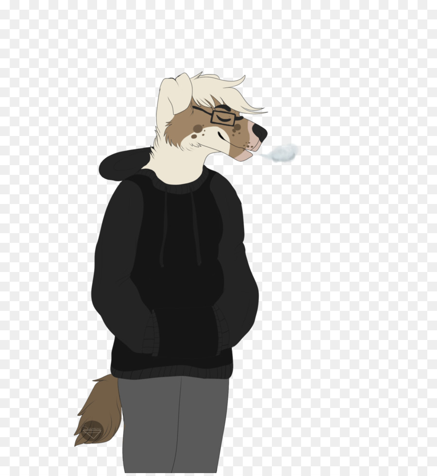 Canidae，Kuda PNG