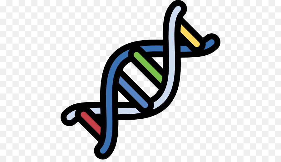 Formula Kimia，Sains PNG