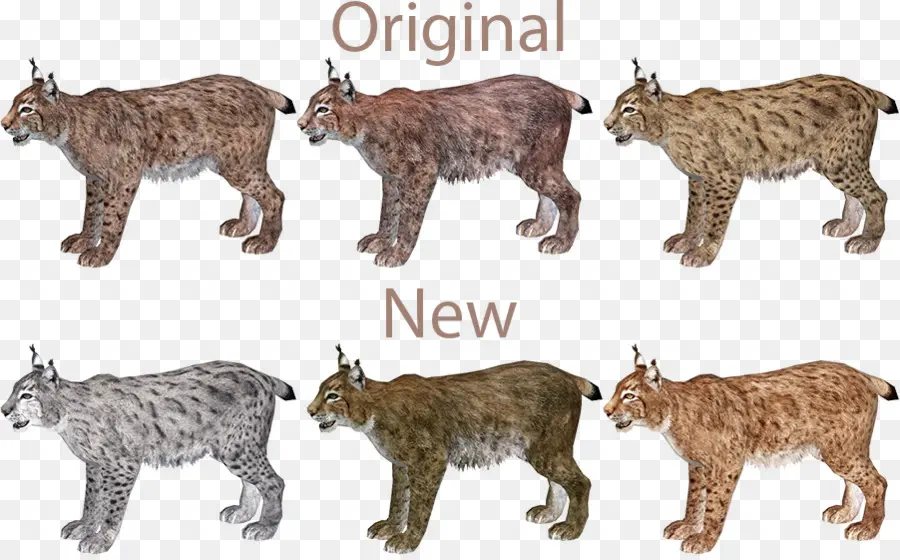 Bobcat，Zoo Tycoon 2 PNG