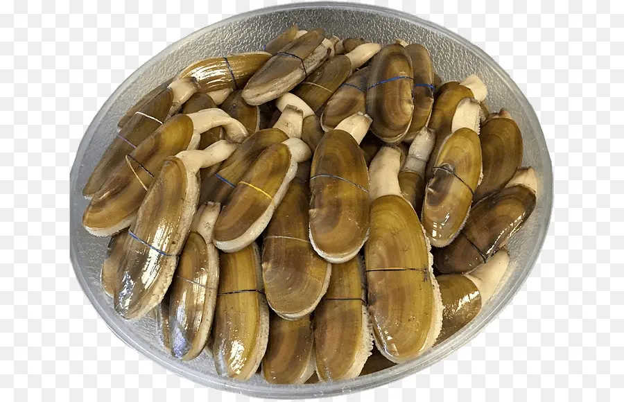 Kerang，Remis PNG