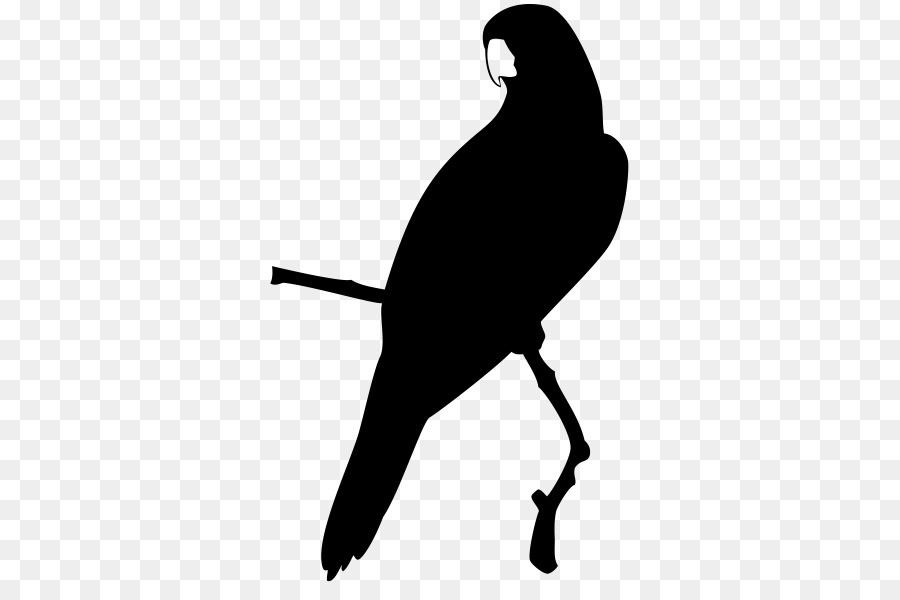 Burung Beo，Ikon Komputer PNG