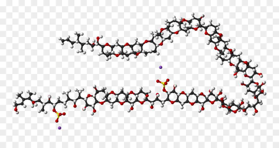 Maitotoxin，Spacefilling Model PNG
