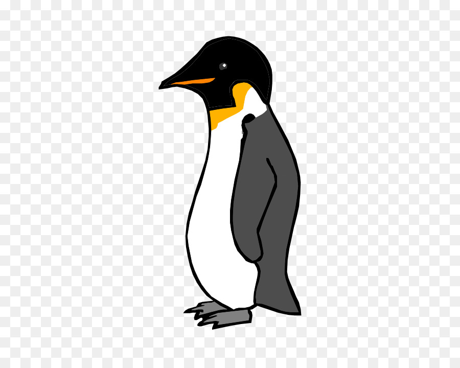 Penguin，Burung PNG