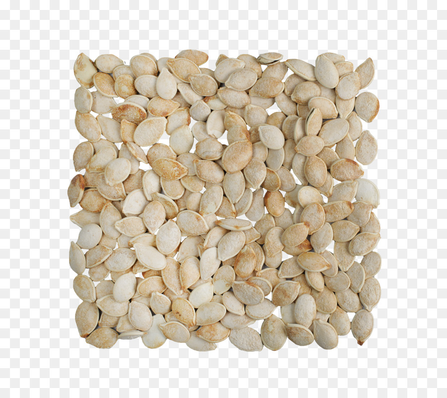 Kacang，Biji Bunga Matahari PNG