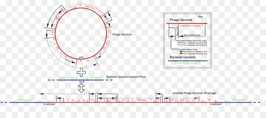 Diagram Rekayasa，Cetak Biru PNG