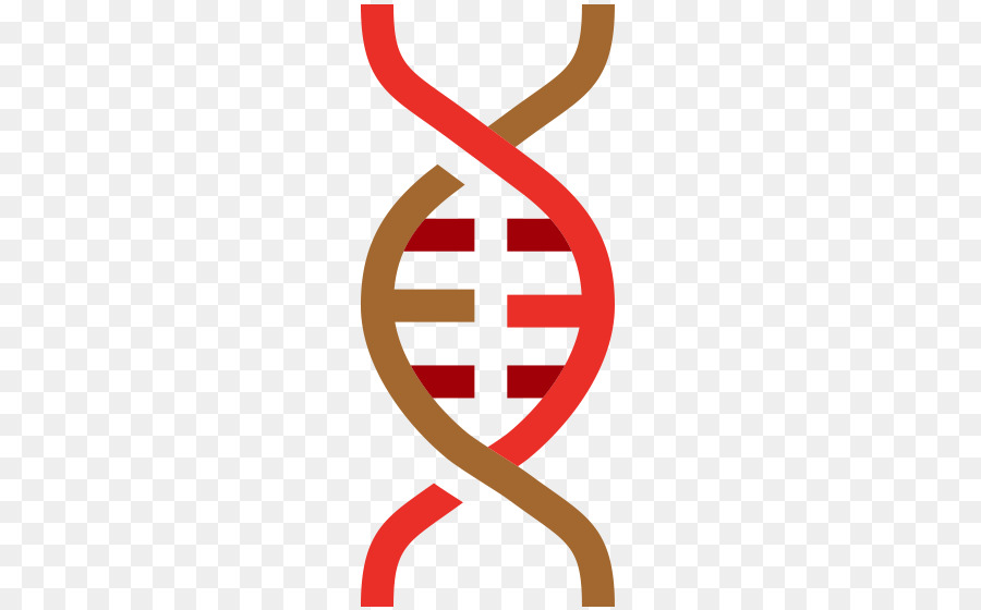 Dna，Genetika PNG