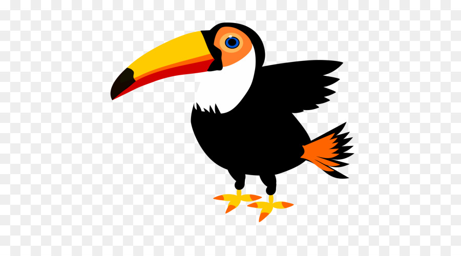 Burung Toucan，Tropis PNG