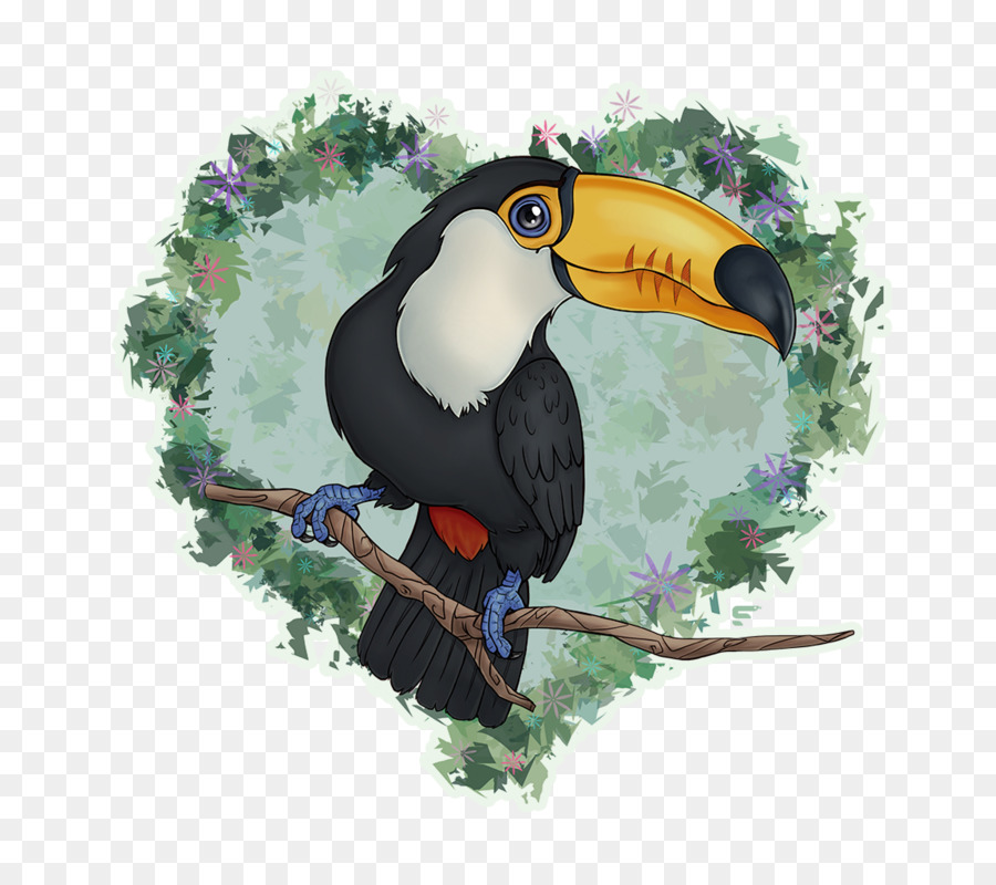 Toucan Burung  Enggang  Paruh gambar png