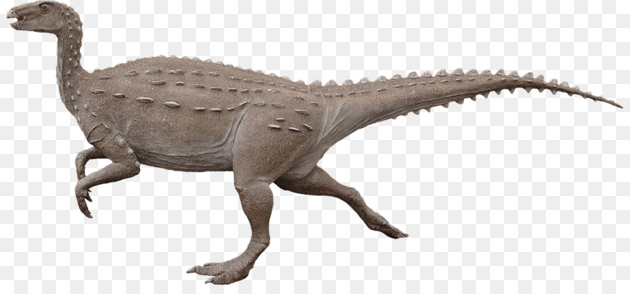 Velociraptor，Moab Raksasa PNG