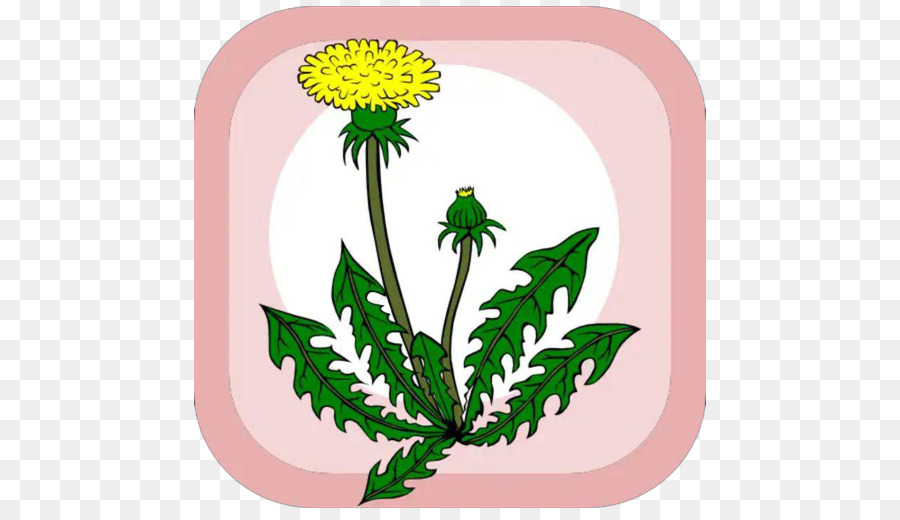 Dandelion，Ikon Komputer PNG