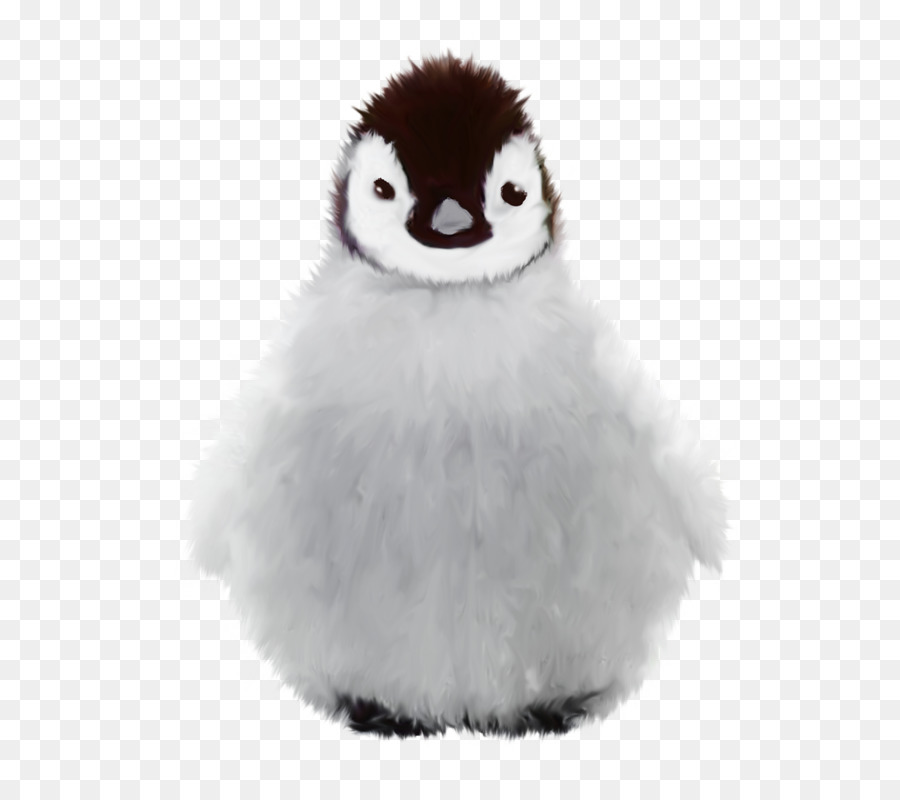 Penguin，Musim Dingin PNG