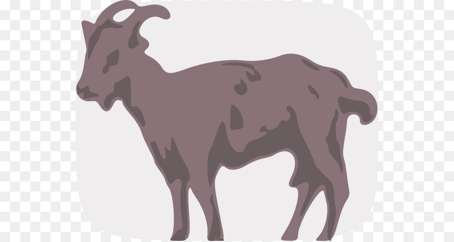 Kambing，Domba PNG