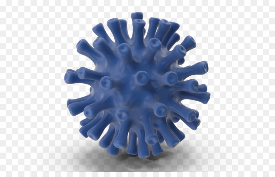 Virus Herpes Simpleks，Ensefalitis Herpes Simpleks PNG